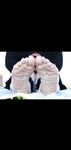 pipersweetfeet Photos