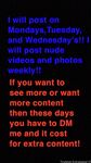 tinytexie Photos