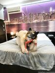 lisikitty Photos
