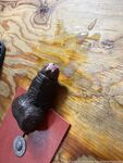 only1exploremysoles Photos