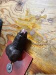 only1exploremysoles Photos