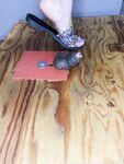 only1exploremysoles Photos