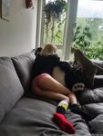 spoiledbratcat Photos