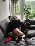 spoiledbratcat Photos