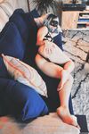 tabbynoname Photos