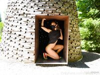 tabbynoname Photos
