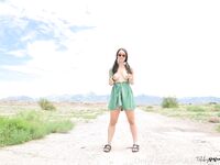 tabbynoname Photos