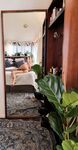 alicenz Photos