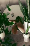 arianasimon Photos