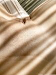 elleknox Photos