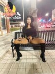 sashastallion Photos
