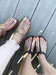 vixenarches Photos