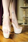 vixenarches Photos