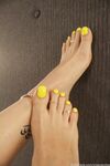 vixenarches Photos