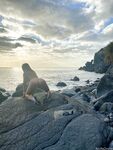 aoifeoneal Photos