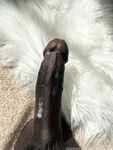 bigtittygothegg Photos