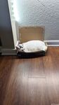 qtsnack Photos