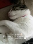 bunnynadja Photos