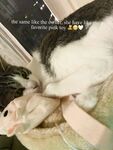 bunnynadja Photos