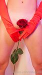stellacardo Photos