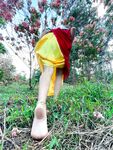 alissafootsd Photos