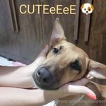 collegecoupleph Photos