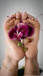 dallasfootmodelsent Photos