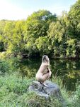 mischagoeswild Photos