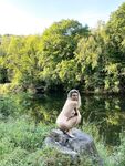 mischagoeswild Photos