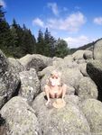 mischagoeswild Photos
