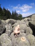mischagoeswild Photos