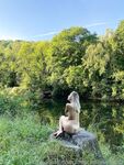 mischagoeswild Photos
