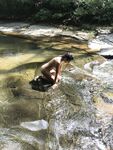 kathycr Katherinne Rodriguez Nauyaca Falls