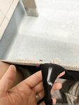 shaecutie Photos