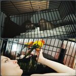boundbyflames Photos