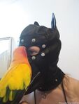 boundbyflames Photos