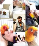 boundbyflames Photos
