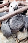 boundbyflames Photos