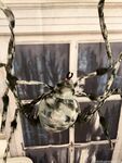 ittybittyprettykitty Photos