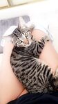 sunjayesummers Photos