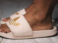 dhrtoes Photos