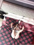 thatgingermomo Photos