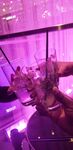 anacondanoire Photos