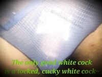 anacondanoire Photos