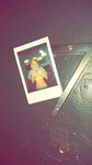 HopelessSoFrantic Photos