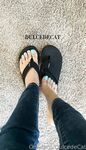 dulcedecat Photos