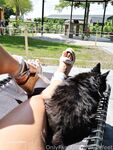 foxieefeet Photos