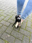 foxieefeet Photos