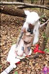 CosplayDeviants 1313_HalfDemon Photos