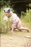 CosplayDeviants 1970_No Photos